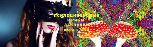 герыч Бородино